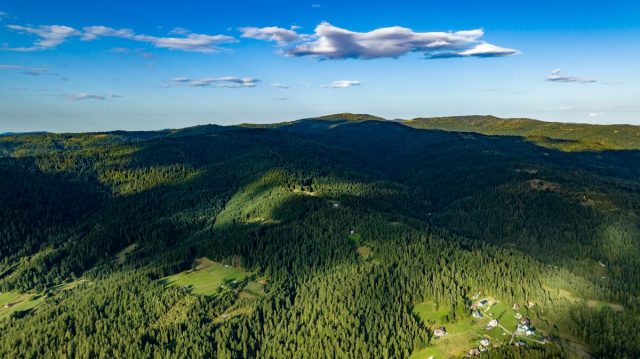 DJI_0512.jpg