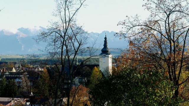 P4040799.jpg