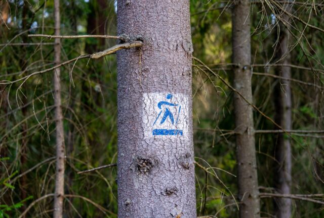 foto3.jpg
