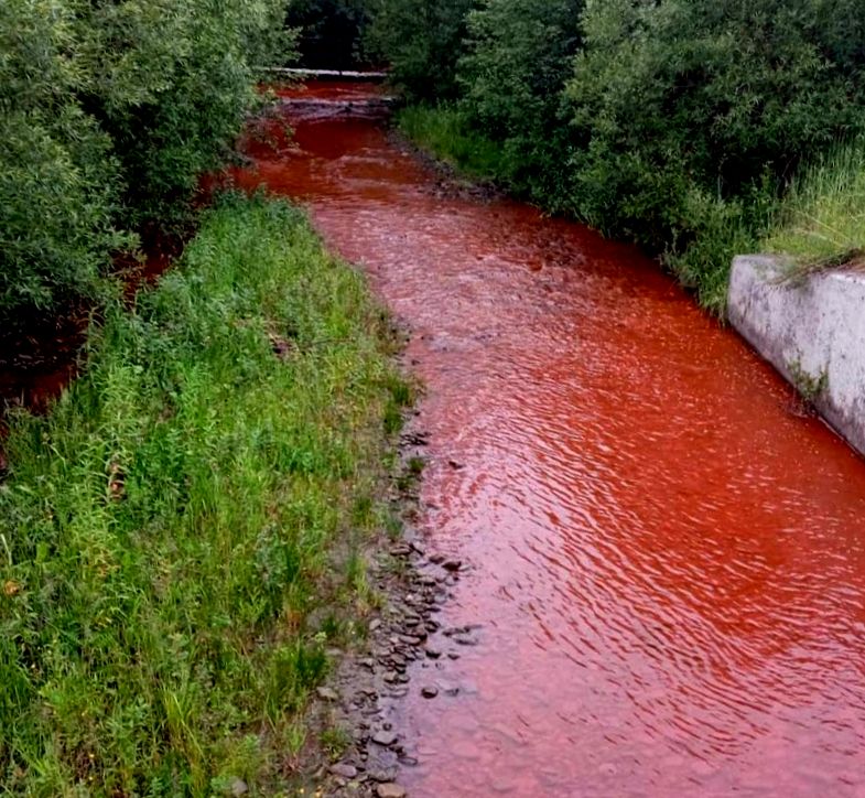 Co się stało w potoku Solawka? Czerwona woda i… ślady spłynęły