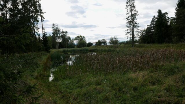 P4470070.jpg