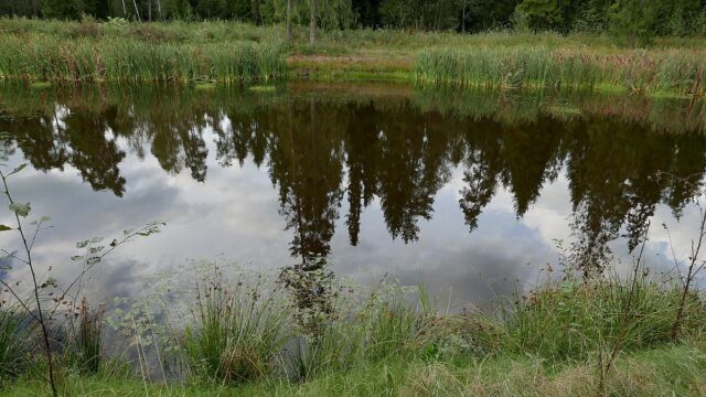 P4470072.jpg