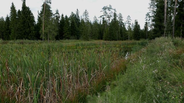 P4470084.jpg