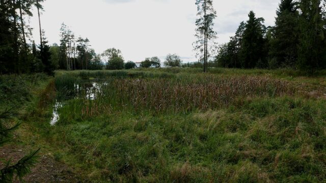 P4470097.jpg