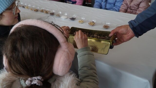 DSC01257-Copy.jpg