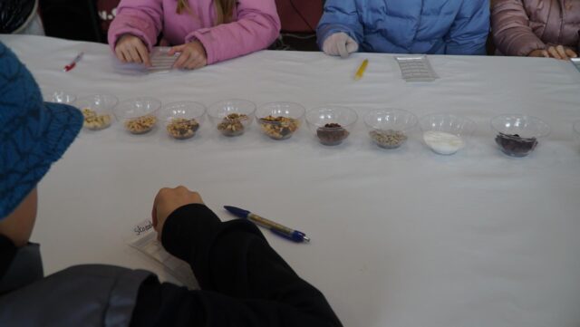 DSC01261-Copy.jpg