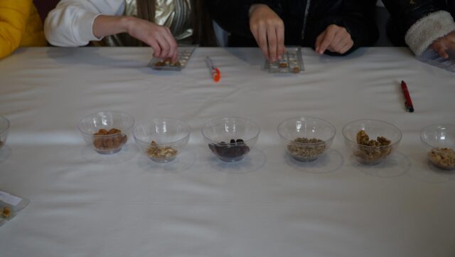 DSC01266-Copy.jpg