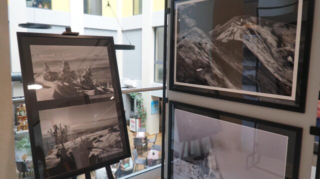DSC01827-Copy.jpg