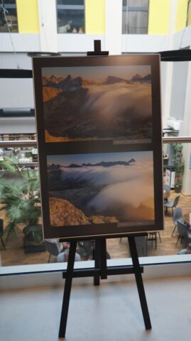 DSC01834-Copy.jpg