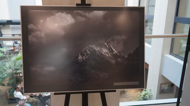 DSC01837-Copy.jpg