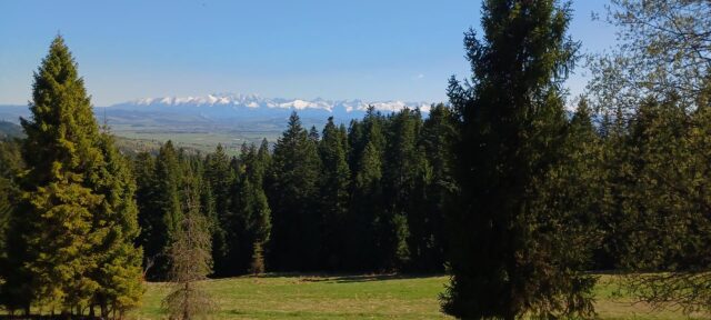 1000013548-Copy.jpg