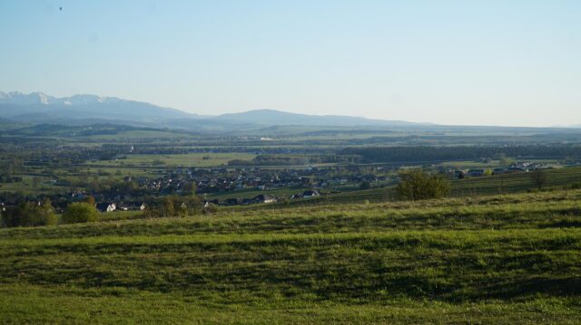 DSC01036-Copy.jpg