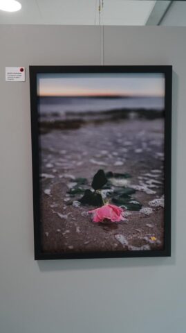 DSC01329-Copy.jpg