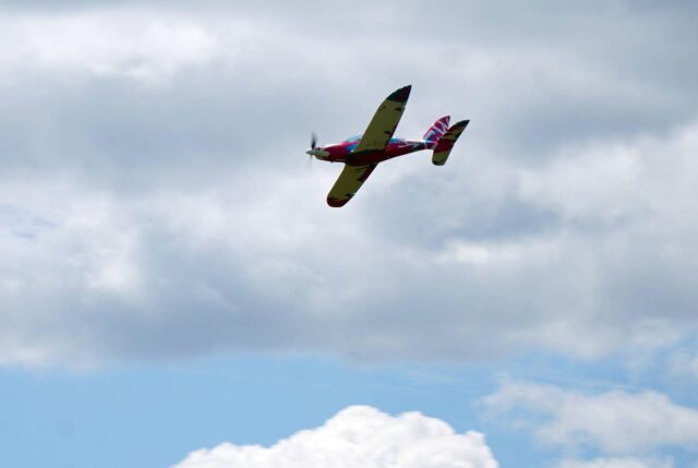 DSC03144-Copy.jpg