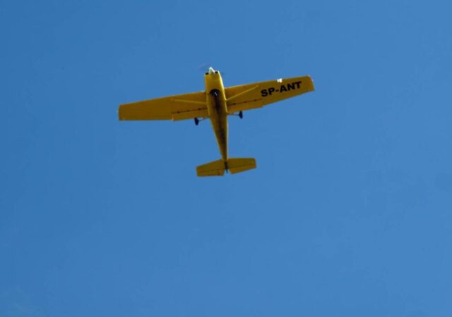 DSC03169-Copy.jpg