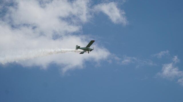 DSC03195-Copy.jpg