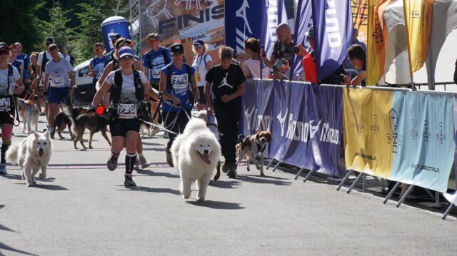 DSC03306-Copy.jpg