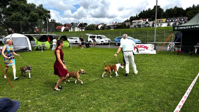 IMG_1102.jpg