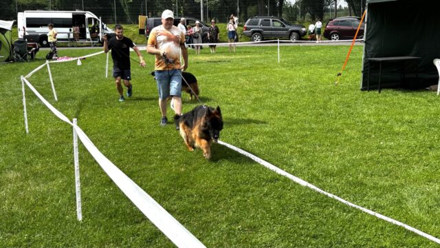 IMG_1110.jpg