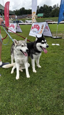 IMG_1141.jpg